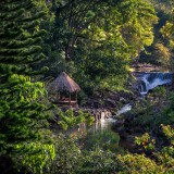 Um paraíso no meio da floresta
