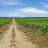 Herdade do antigo BPN com cinco candidatos à compra