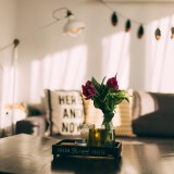 Conselhos a não perder de vista