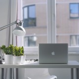 Decorar com plantas: a natureza invade as casas (as escolhas certas)