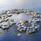 Aspeto da cidade flutuante