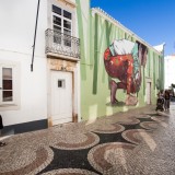 Câmara de Lagos compra terrenos para construir habitação acessível - onde quase só há casas de luxo
