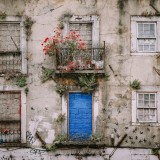 Votação indiciária das propostas para a Lei de Bases da Habitação adiada para dia 4 de junho