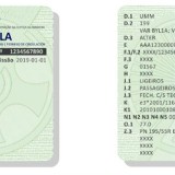 Documento Único Automóvel muda a 1 de agosto e vai caber na carteira