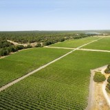 Governo retira a utilidade turística à Herdade da Comporta