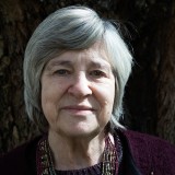 Rendas acessíveis: PAA funcionará “onde não há grande pressão urbanística”