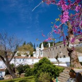 Há mais 15 edifícios históricos na calha para serem reabilitados pelo Programa Revive
