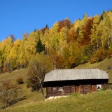 Programa Revive Natureza arranca com 96 imóveis - alguns são antigas casas florestais