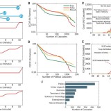 O mundo das “fake news”: no Twitter, a informação falsa espalha-se mais depressa que a verdadeira