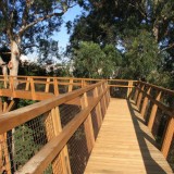 Serralves inaugura passadiço entre a copa das árvores – terá 260 metros de comprimento