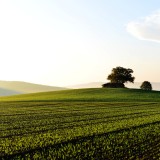 Terrenos cadastrados já podem ser regularizados sem pagar multas