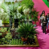 Maiores feiras de jardinagem e decoração de exteriores do Norte até sábado na Exponor