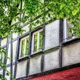 Como manter as janelas da casa imaculadas agora que olhamos tanto através delas