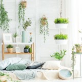 Truques simples para construir hortas e jardins verticais em casa