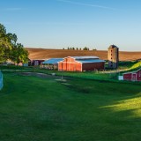 Imóveis e terrenos agrícolas despertam interesse de investidores