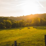 Finanças trabalham para mudar método de avaliação do VPT dos terrenos rústicos 