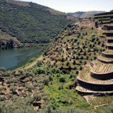 Abanca compra histórica Quinta da Boavista para reforçar investimento no Douro