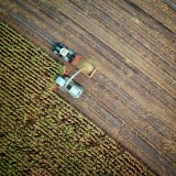 Bolsa de Terras com 28 hectares para arrendar para exploração agropecuária