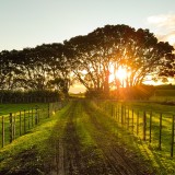 IMI: imóveis urbanos pagam 200 vezes mais imposto do que os prédios rústicos