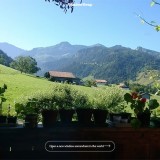 Viajar sem sair de casa: este site permite “espreitar” o mundo através da janela de outra pessoa 