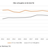 Quantos portugueses têm cães e gatos em casa? 