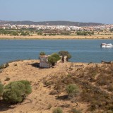 Revive Natureza com quase 100 manifestações de interesse em menos de um mês – são 16 imóveis 