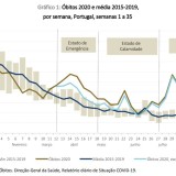 Impacto da Covid-19 na mortalidade em Portugal 