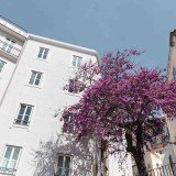 Avaliação bancária das casas ainda em máximos históricos – 1.128 euros por m2 em setembro