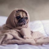 Conselhos práticos para evitar fugas de calor em casa - agora que o frio começa a apertar