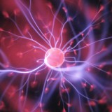 Neurociência para gerir pessoas e negócios na construção: dstgroup vai formar trabalhadores