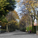 Câmara do Porto aposta na “promoção de estilos de vida saudáveis” – 18 jardins vão ter miniginásios