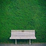 Câmara do Porto investe 10 milhões na reabilitação e expansão de parques, jardins e espaços verdes