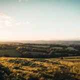 Corticeira Amorim emite 40 milhões em obrigações verdes, um "marco" na estratégia sustentável