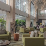 Vão nascer três novos hotéis Hilton em Portugal: investimento ronda os 60 milhões