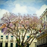 Fundo norte-americano H.I.G Capital compra três edifícios residenciais em Lisboa