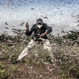 World Press Photo 2021: há um português nomeado para as melhores fotos do ano