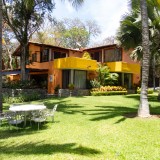 Como preparar o jardim para a primavera: 6 truques infalíveis