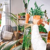 O poder das plantas e dos animais para tornar a vida melhor em casa