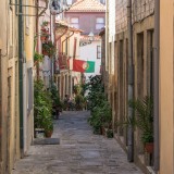 Regime fiscal do Residente Não Habitual: pedidos de adesão abrandam em ano de pandemia