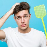 Desde baratas a ratos e mosquitos: como atuar com bichos com quem não se quer viver