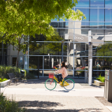 Google obriga trabalhadores a voltar a trabalhar no escritório em setembro