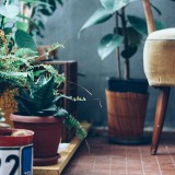 Como ter uma varanda ou terraço de sonho: 6 dicas de decoração imperdíveis