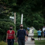 Máscaras biodegradáveis podem dar lugar a jardins de flores silvestres