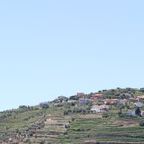 Terrenos urbanizáveis - afinal esta classificação ainda existe?