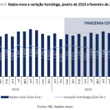 Natalidade trava a fundo em 2021