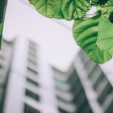 CBRE cria nova área de sustentabilidade: “uma prioridade incontornável” no setor