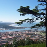 Viana do Castelo candidata a construção de 686 fogos de habitação social ao 1.º Direito