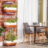 Como decorar o terraço sem gastar muito dinheiro