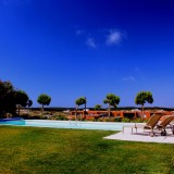 Férias com animais de estimação