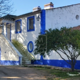 Imóveis de bancos: BCP vende Herdade da Almeida Velha (são 70 hectares) por 2,7 milhões